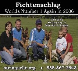 Imported German Shepherds | Service Dogs | German Shepherds For Sale