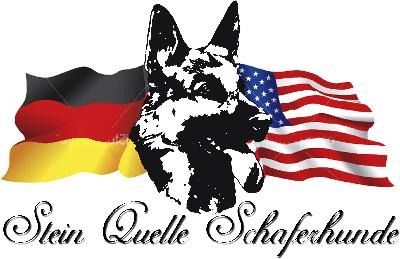 Buy Your Own Champion German Shepherds | German Shepherd Puppies | Service Dogs